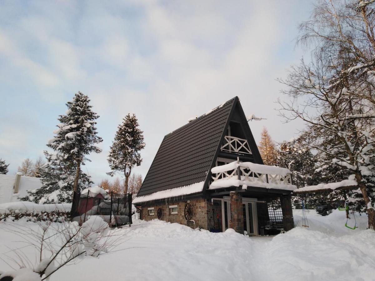 Grygielówka - Dom pod lasem Kamień Exteriér fotografie