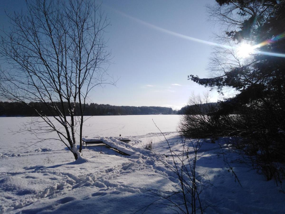 Grygielówka - Dom pod lasem Kamień Exteriér fotografie