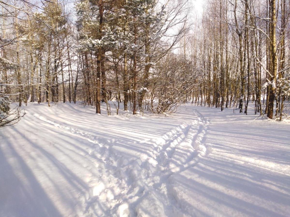 Grygielówka - Dom pod lasem Kamień Exteriér fotografie
