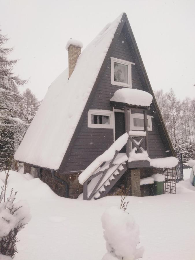Grygielówka - Dom pod lasem Kamień Exteriér fotografie